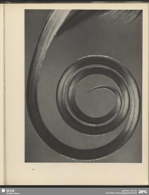 Die Spirale. Schmetterlingsrüssel. 60:1