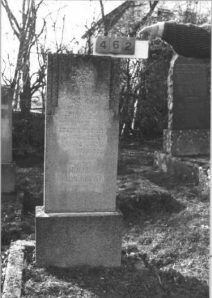 Grabstein 462 (Index: 99786456) Zustand: leicht verwittert Maße HxBxT: 138x46x16 cm Symbolik: Davidstern: Grabstein 462