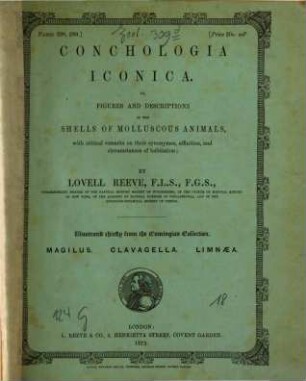 Conchologia iconica: or, illustrations of the shells of molluscous animals. XVIII