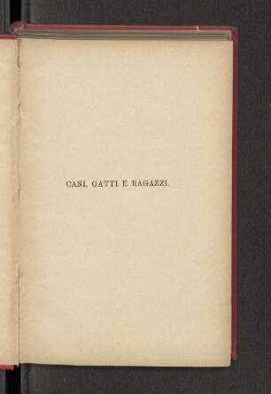 Cani, gatti e ragazzi