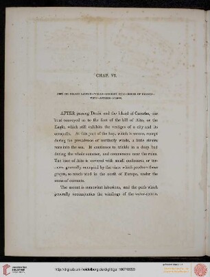 Chapter VI