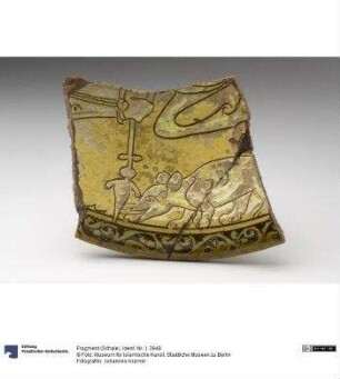 Fragment (Schale)