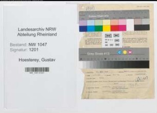 Entnazifizierung Gustav Hoesterey , geb. 25.03.1904 (Vermessungstechniker)