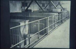 Fotografie: Fütterungstechnik, Mastschwein, Trockenfütterungsanlage