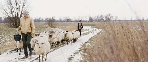 Nordlicht - Der Nordsee Film