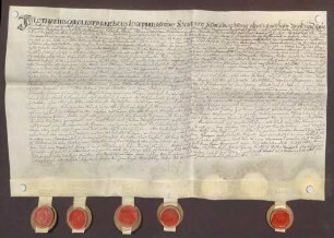 Instrumentum cautionis des Lothar Karl Franz Joseph Schenk von Schmidtburg.