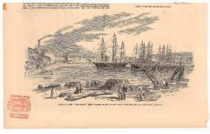 Arrival of the "John Bowes" screw steamer in the Collier Dock of the East and West India Dock Railway