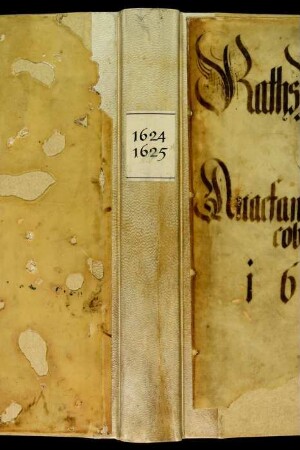 Ratsprotokolle, 1624 Aug. 3. - 1625 Juli 28.
