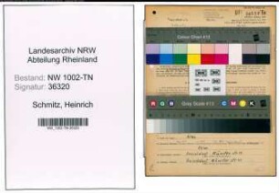 Entnazifizierung Heinrich Schmitz , geb. 14.09.1902 (Spediteur)