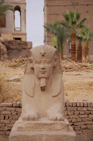 Sphinx-Figur im Luxor-Tempel, Luxor