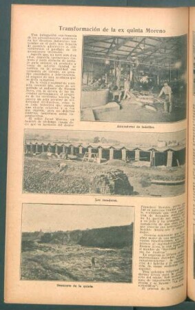 Transformación de la ex quinta Moreno