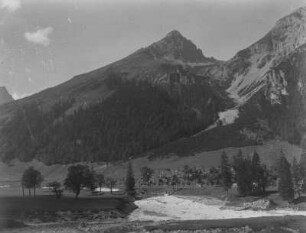 Berglandschaft : Blick über eine Wiese auf einen bewaldeten Berg.