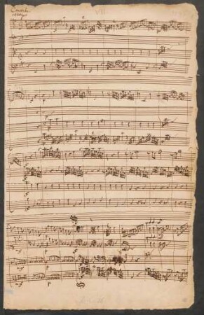 Konzerte; cemb, strings, bc; e-Moll; H 418; Wq 15