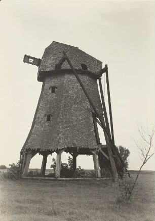 Ahrenshoop