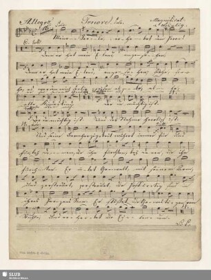 Tenore solo