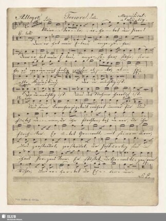 Tenore solo