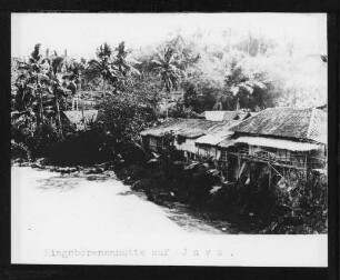 Ilo, Ilo auf der Insel Panoy Mädchen unter den 3 Bäumen.- Manila Abordnung
