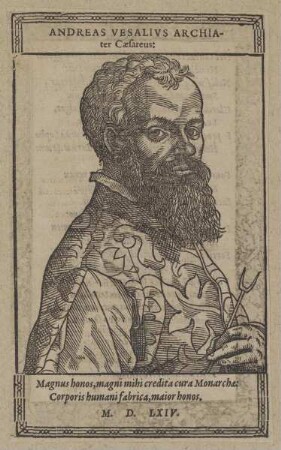 Bildnis des Andreas Vesalivs