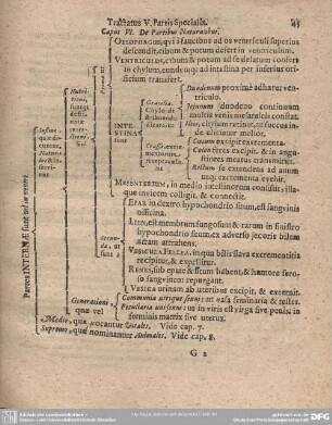 Caput VI. De Partibus Naturalibus.