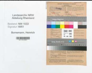 Entnazifizierung Heinrich Bornemann , geb. 21.12.1892 (Hauptwachtmeister)