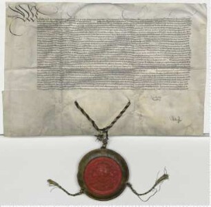 Schutzbrief König Ferdinands für Lüneburg.