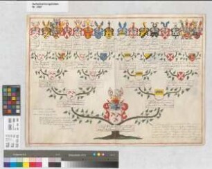 Proband: Kolff von Vettelhoven, Karl Wilhelm; Vater: Kolff von Vettelhoven, Johann Wilhelm Theodor; Mutter: Brackel, Wilhelmina von: Münster, Fbstm, Ritterschaft