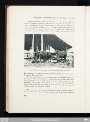 Problemi Sanitarii Della Somalia Italiana
