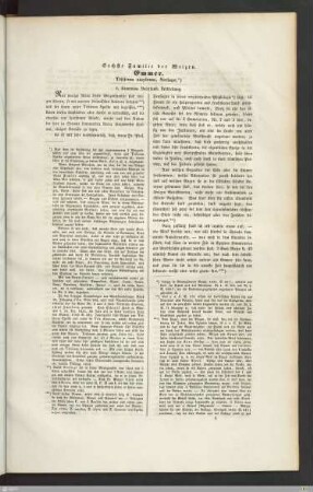 Text mit Illustrationen