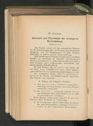 III. Abschnitt. Topographische Anatomie des Nervensystems.