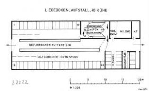 Liegeboxenlaufstall 40 Kühe