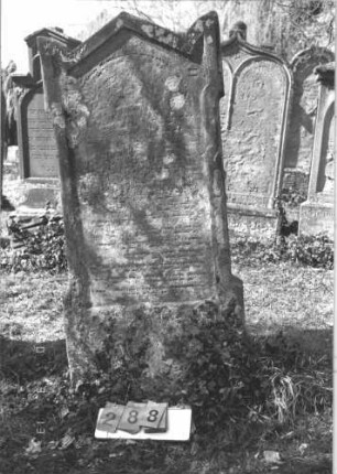 Grabstein 288 (Index: 99786538) Zustand: großer Teil abgeblättert, Rest z. T. stark verwittert Maße HxBxT: 139x67x15 cm: Grabstein 288