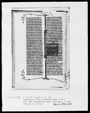 Lateinische Bibel, drei Bände — Initiale L, Folio 34verso