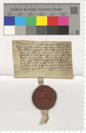 Bischof Joh. von Ratzeburg befördert einen Verdener Diakonen zum Presbiter [lat].