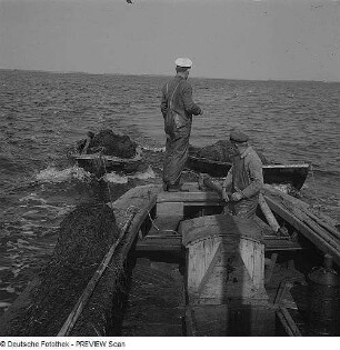 Die Goor. Fischerboot