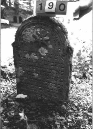 Grabstein 190 (Index: 99800040) Material: Sandstein Zustand: verwittert Maße HxBxT: 86x56x9 cm Beschreibung: Stele, eingezogener Rundbogenabschluß, Schriftfeld eingetieft Symbolik: Stern Besonderheit: zwischen 189 und 190 Stelenrest: Grabstein 190
