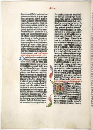 Sophonias / Zefanja / Zephaniah / Sophonias