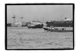 Mandus ex Ernst Gaulke ex Max ex Johanna ex Marinus (1916), R. Kühl, Hamburg