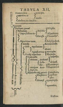 Tabula XII.
