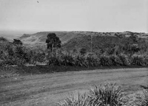 Blick auf eine Landstufe : Hügelige Landschaft bei Santa Maria da Serra. Im Vordergrund eine Straße mit Gräsern und Büschen an den Rändern, dahinter Blick in ein Tal und auf die Landstufe.