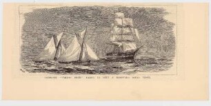 Falmouth "Tailors Boats" Racing to meet a homeward bound vessel