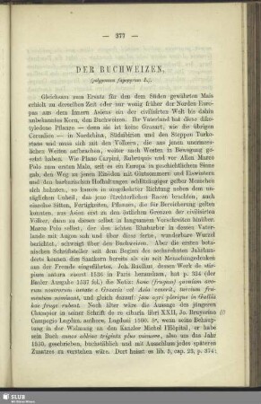 Der Buchweizen