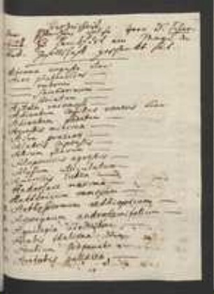 Pflanzenliste