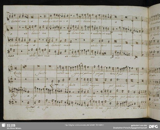 Quia fecit mihi magna
