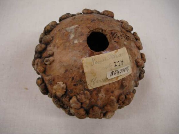 Tobacco calabash