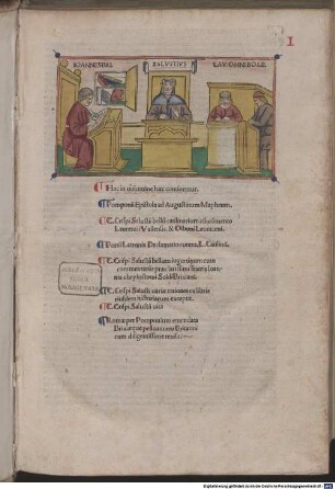 Opera : mit Vita Sallustii und Widmungsbrief an Augustinus Maffeius von Julius Pomponius
