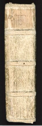 Rücken