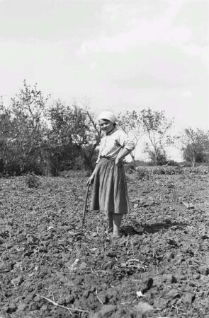 Zweiter Weltkrieg. Zur Einquartierung. Sowjetunion. Junge Bäuerin auf dem Feld