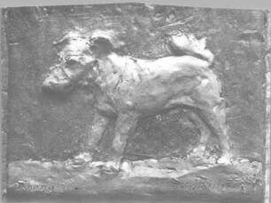 Terrier : Terrier (Relief). Gips?, getönt (1931; E. Richter). Dresden-Südvorstadt, Eisenstuckstraße, Atelier der Bildhauerin