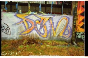 DEM