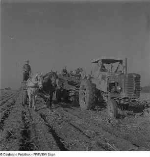 Landwirtschaft